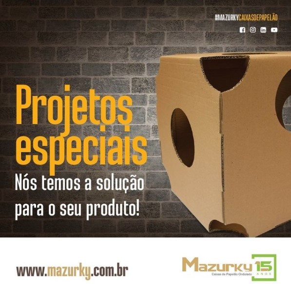 projetos especiais em papelao ondulado