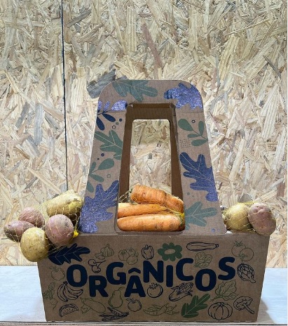 Cestinha Sustentável